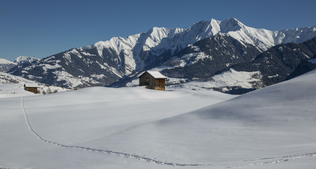 Davos Munts dado Davos Munts dado