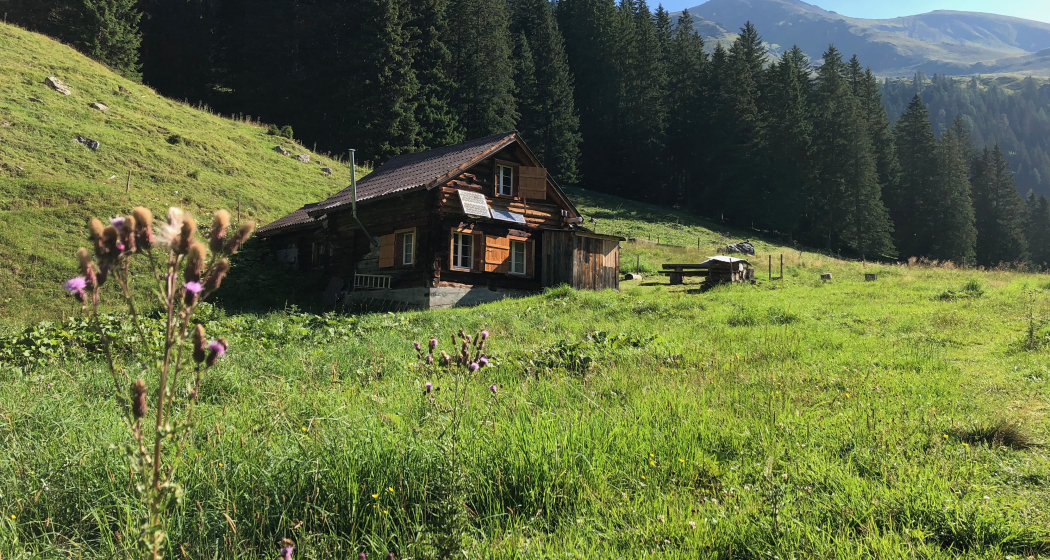 Alphütte auf dem Weg zur dicksten Fichte Alphütte auf dem Weg zur dicksten Fichte
