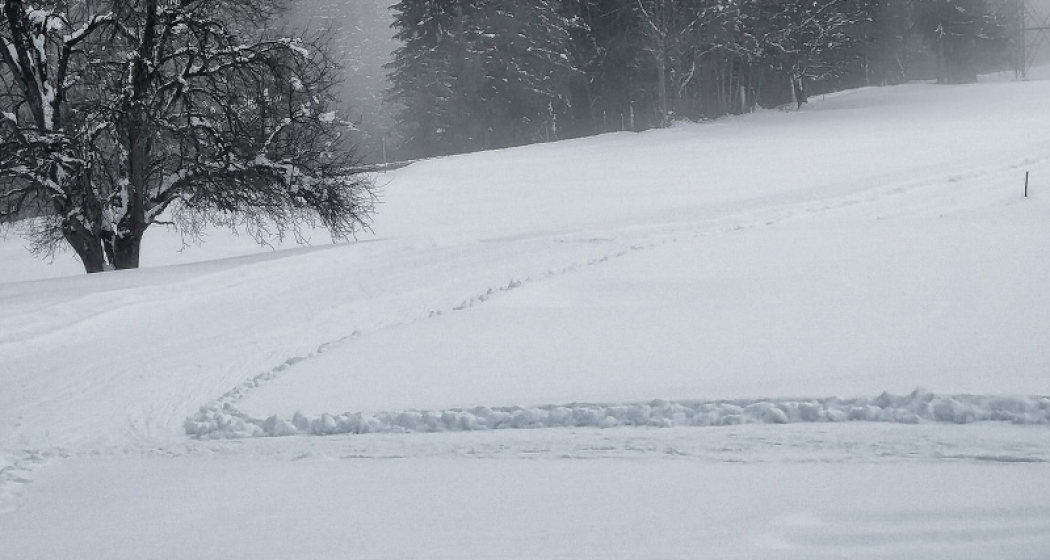 Langlaufloipe zwischen Schiers und Grüsch Langlaufloipe zwischen Schiers und Grüsch
