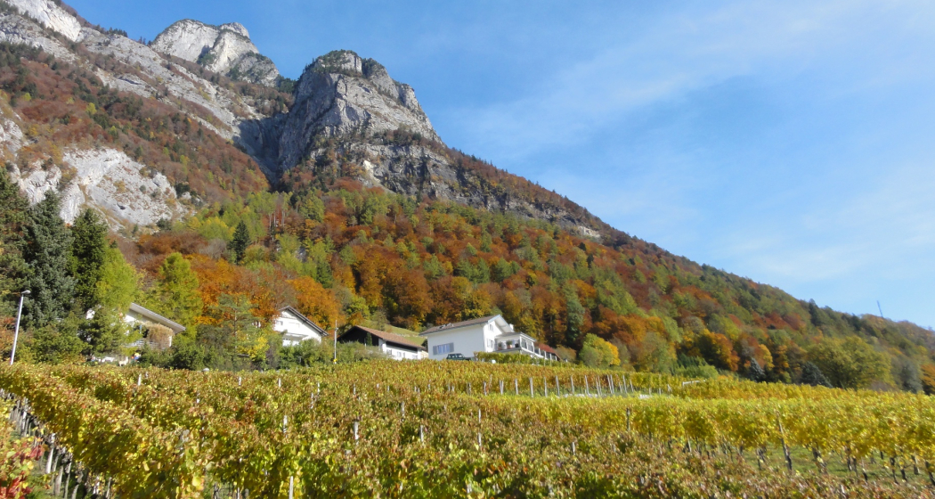 Weinbauweg Sargans-Mels Weinbauweg Sargans-Mels
