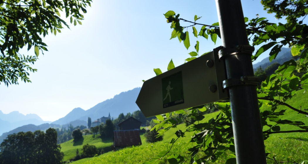Namensgeber des Trails Die Lichtung Eigis Namensgeber des Trails Die Lichtung Eigis