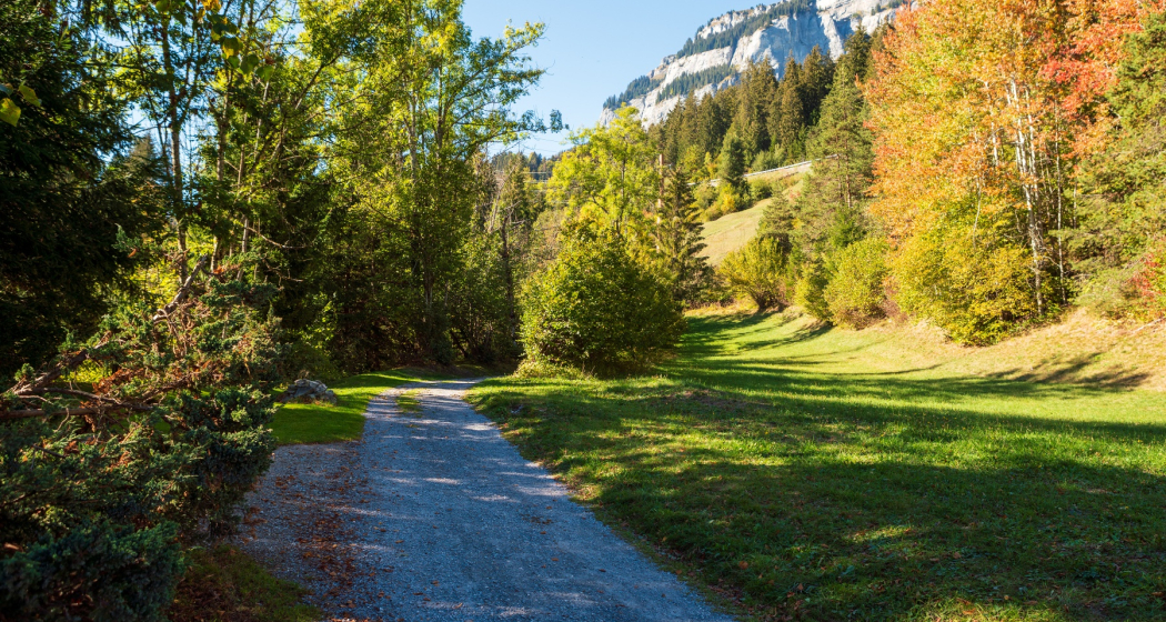 Weg zur Felsbachschlucht Weg zur Felsbachschlucht