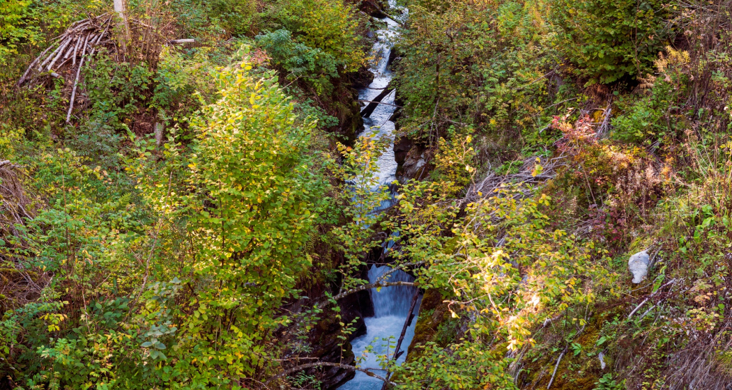 Felsbachschlucht Felsbachschlucht