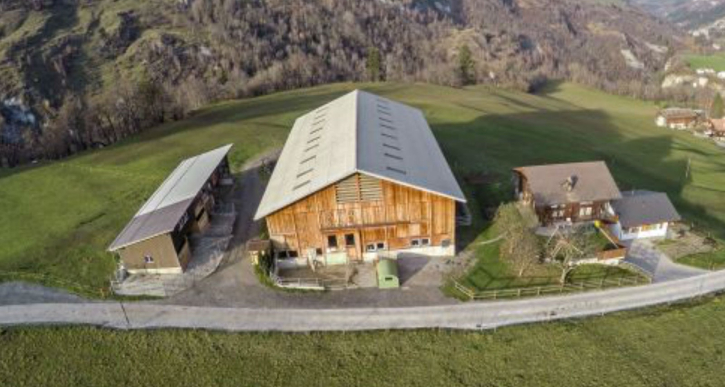 Buontads, Surcasti (oua_36103979_image) Buontads, Surcasti (oua_36103979_image)