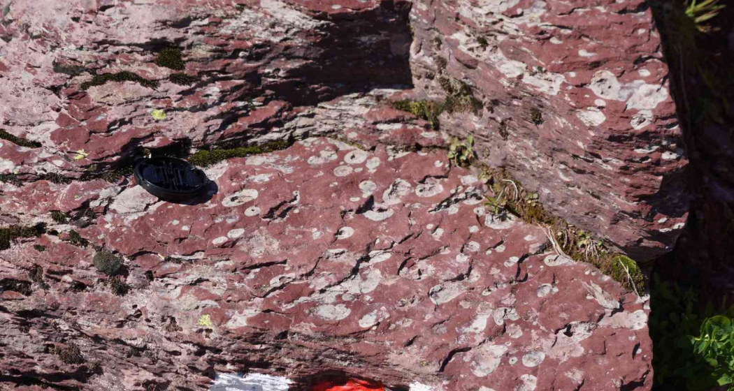 Verrucano am Oberen Murgsee (oua_36767574_image)