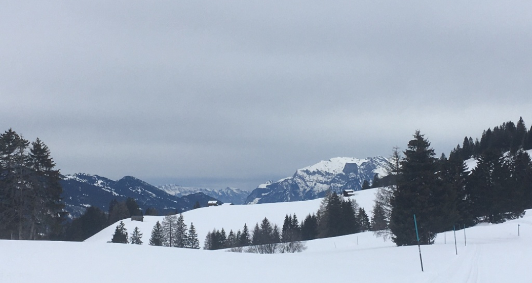 Blick Richtung Capfeders