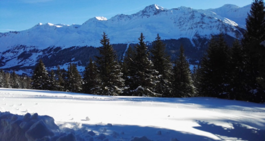 Winterpanorama Winterpanorama