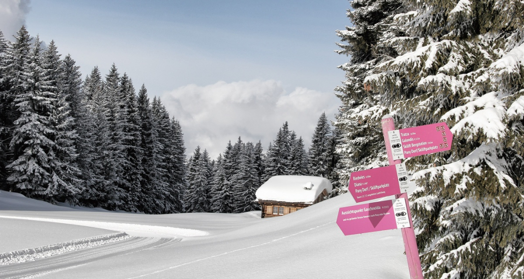 Unterwegs in der Schneeschuh-Arena Prättigau Unterwegs in der Schneeschuh-Arena Prättigau