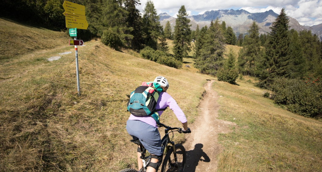 Fimberpass – Val d'Uina – Reschenpass: Schleis / Mals – Martina (443.03) (oua_37065525_image)