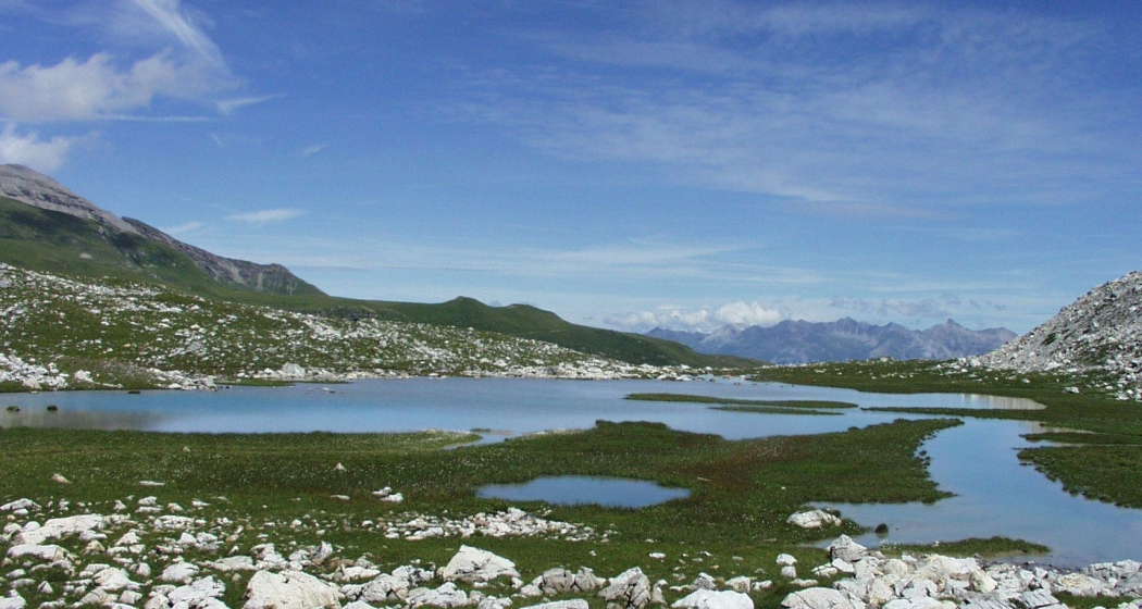 Lai Pintg Lai Pintg