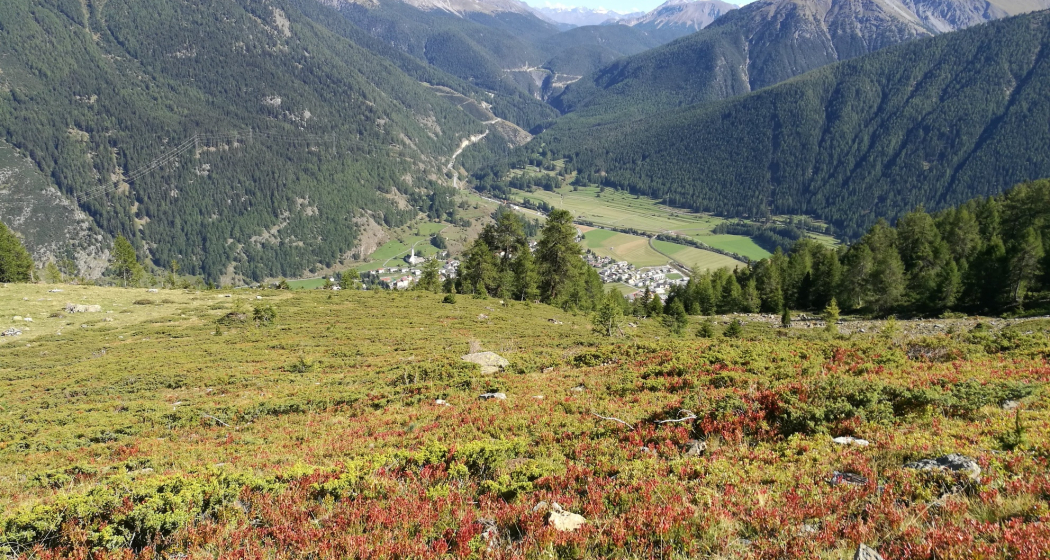 Blick auf Zernez und Ofenpass Blick auf Zernez und Ofenpass