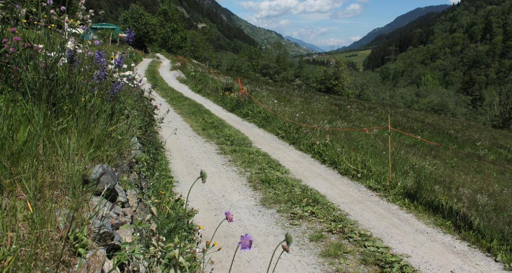 Disla Richtung Madernal Disla Richtung Madernal