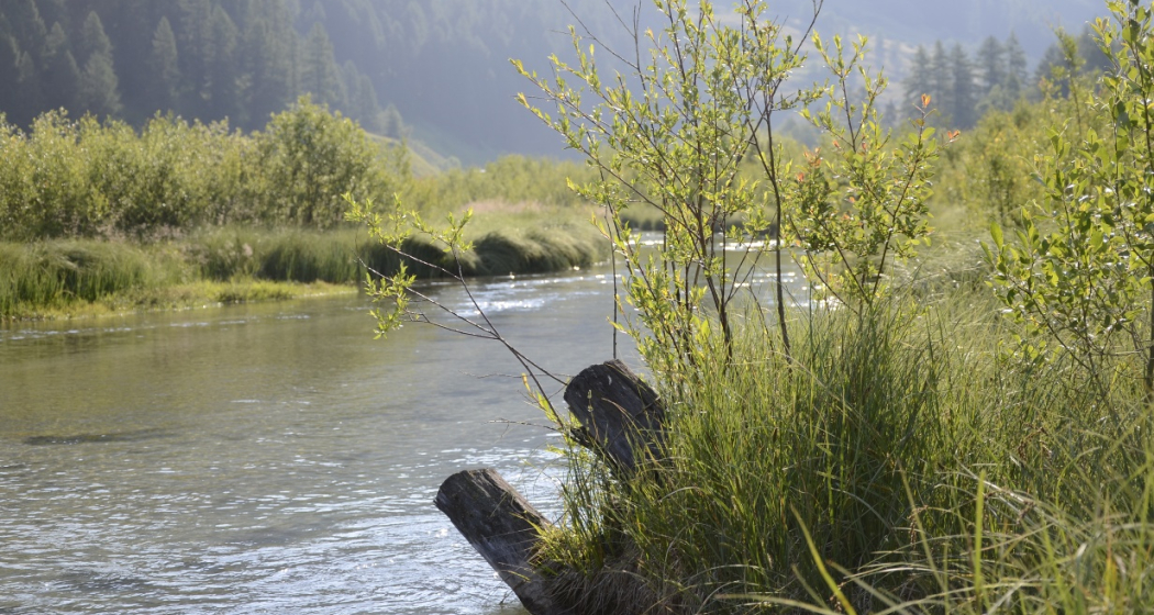Fischen im Val Müstair (oua_38317741_image) Fischen im Val Müstair (oua_38317741_image)