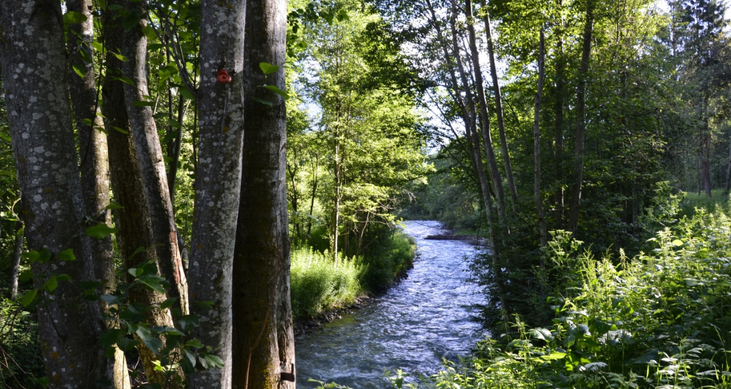 Fischen im Val Müstair (oua_38317742_image) Fischen im Val Müstair (oua_38317742_image)