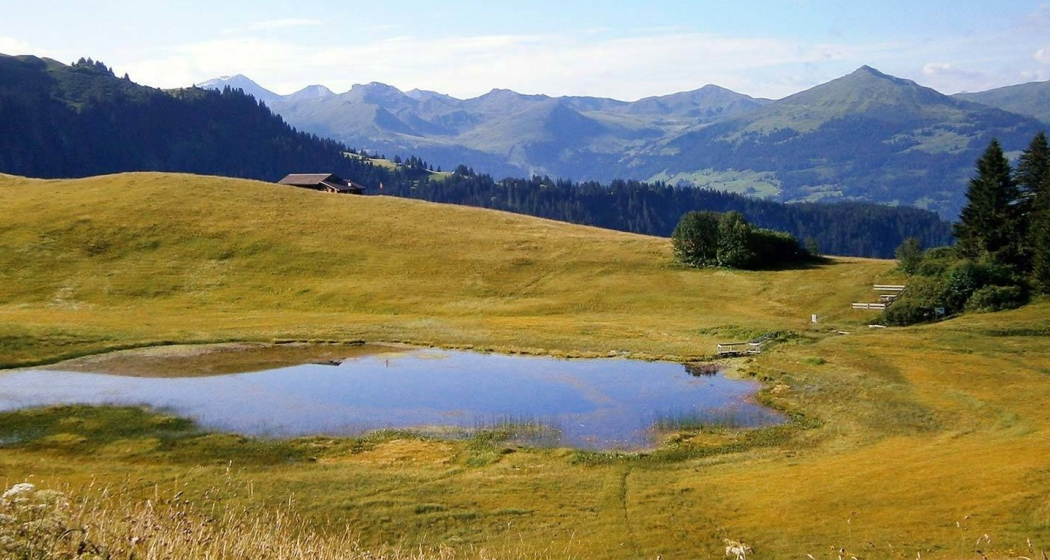 Stelsersee Stelsersee
