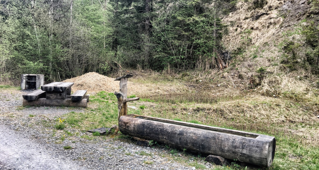 Grillplatz / Feuerstelle beim Naturwaldreservat Chopfwald Grüsch (oua_39140589_image) Grillplatz / Feuerstelle beim Naturwaldreservat Chopfwald Grüsch (oua_39140589_image)