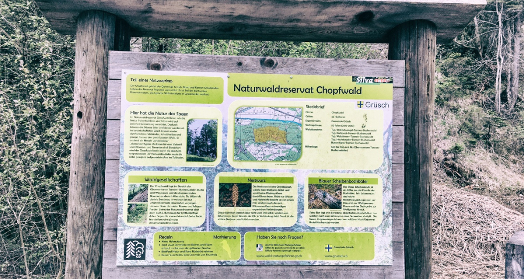 Grillplatz / Feuerstelle beim Naturwaldreservat Chopfwald Grüsch (oua_39140590_image) Grillplatz / Feuerstelle beim Naturwaldreservat Chopfwald Grüsch (oua_39140590_image)