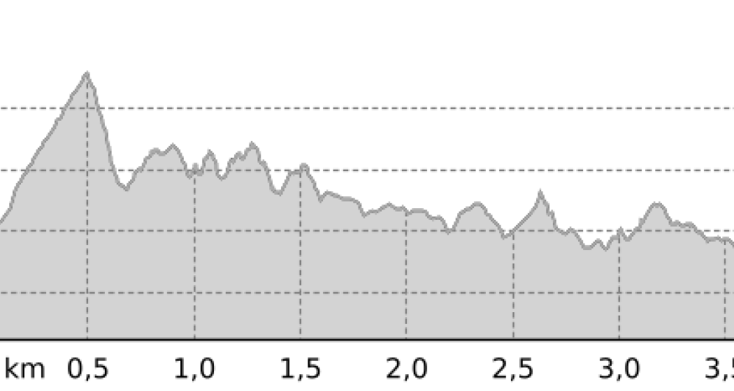 Testride XCO (Ninos Gold Trail) (oua_39500364_473f36a_profile) Testride XCO (Ninos Gold Trail) (oua_39500364_473f36a_profile)
