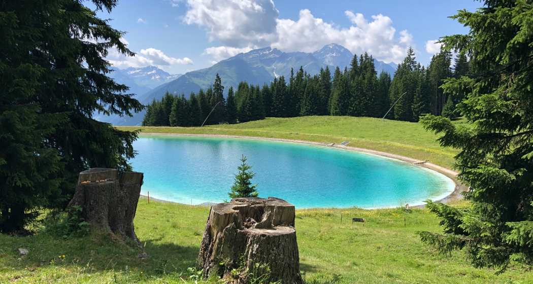 Speichersee in der Nähe vom Triel. Speichersee in der Nähe vom Triel.