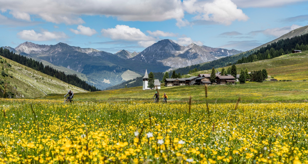 647 Rinerhorn / Sertig (E-MTB tauglich) (oua_40519044_image)