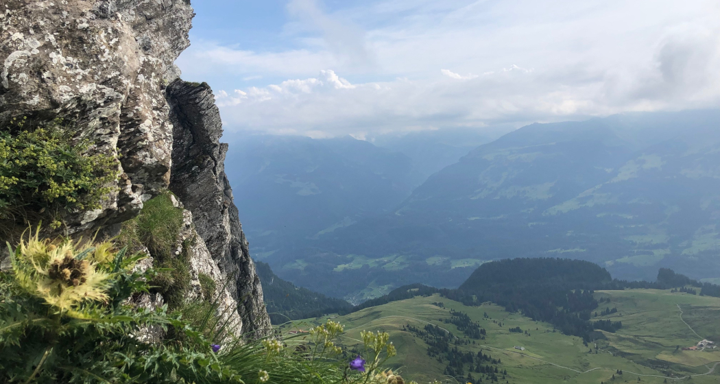 Aussicht vor dem Anstieg über die Holzleiter. Aussicht vor dem Anstieg über die Holzleiter.