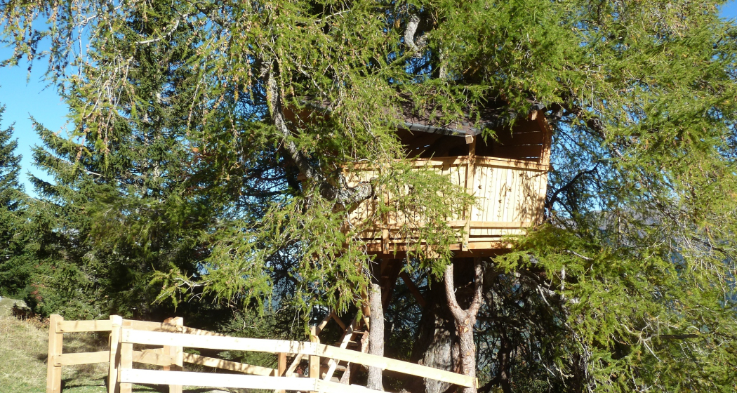 Baumhaus Waldstafel Baumhaus Waldstafel