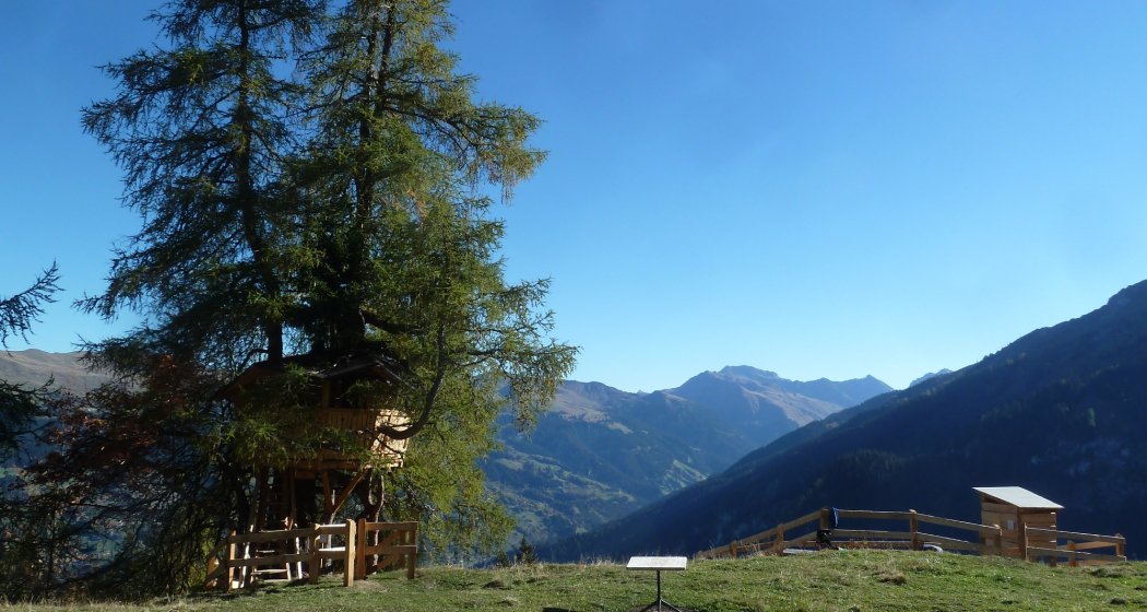 Baumhaus Waldstafel Baumhaus Waldstafel