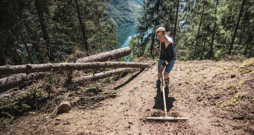 Suasar Blue Vertigo Suasar Blue Vertigo