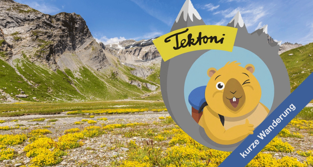 Tektoni - Unterwegs im unteren Segnesboden Tektoni - Unterwegs im unteren Segnesboden