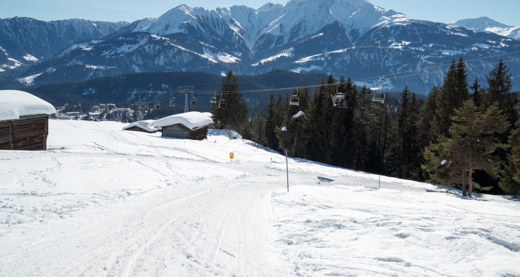Schlittelpiste Foppa-Flims (oua_43225739_image) Schlittelpiste Foppa-Flims (oua_43225739_image)