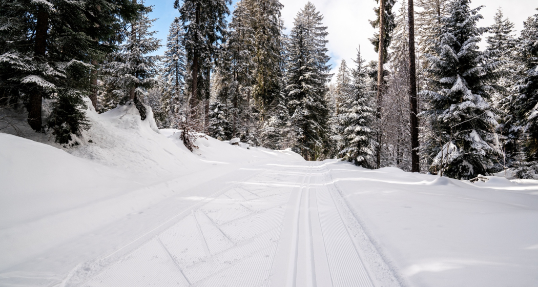 Langlaufloipe: Flims - Conn - Sportzentrum Prau la Selva (retour) (oua_43228955_image) Langlaufloipe: Flims - Conn - Sportzentrum Prau la Selva (retour) (oua_43228955_image)