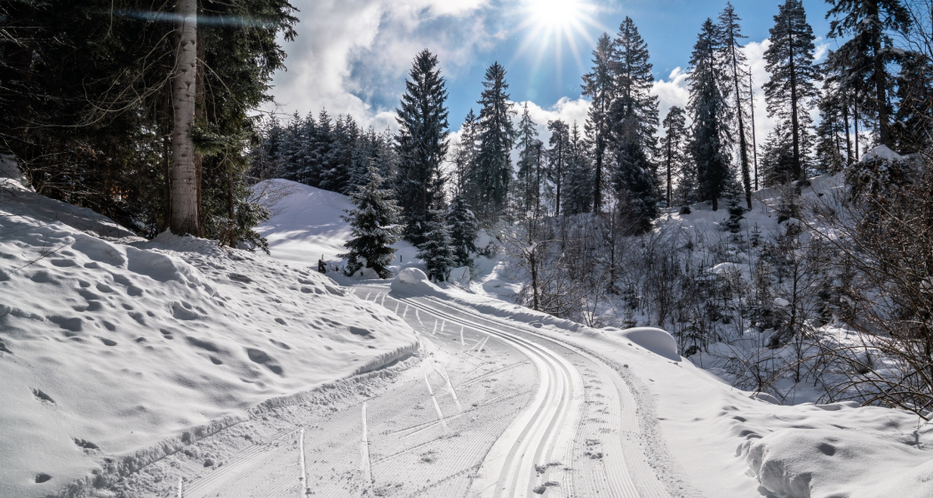 Langlaufloipe: Flims - Conn - Sportzentrum Prau la Selva (retour) (oua_43228960_image) Langlaufloipe: Flims - Conn - Sportzentrum Prau la Selva (retour) (oua_43228960_image)