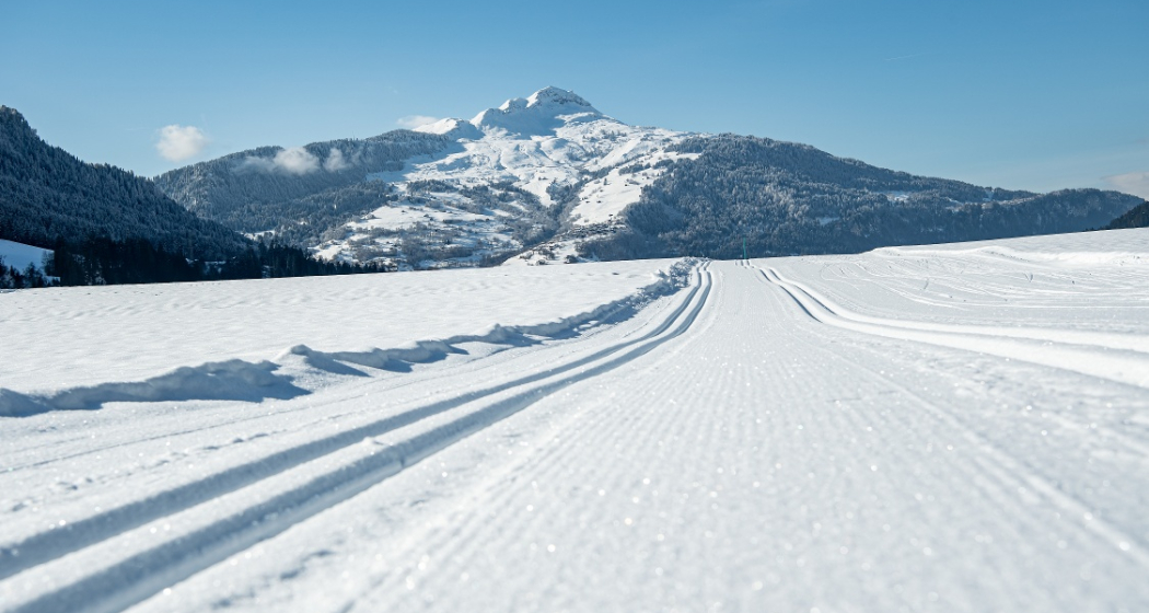 Langlaufloipe Sagogn (oua_43230175_image) Langlaufloipe Sagogn (oua_43230175_image)