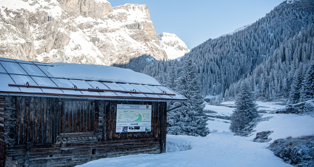 Langlaufloipe im Hochtal Bargis (oua_43248930_image) Langlaufloipe im Hochtal Bargis (oua_43248930_image)