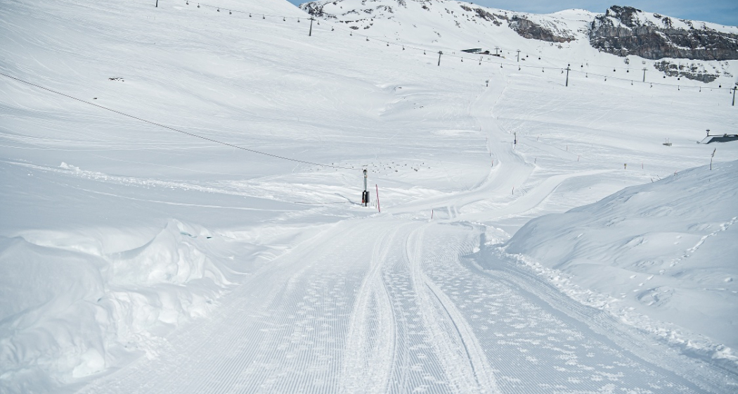 110: Scansinas - Alp Sogn Martin (oua_43335986_image) 110: Scansinas - Alp Sogn Martin (oua_43335986_image)
