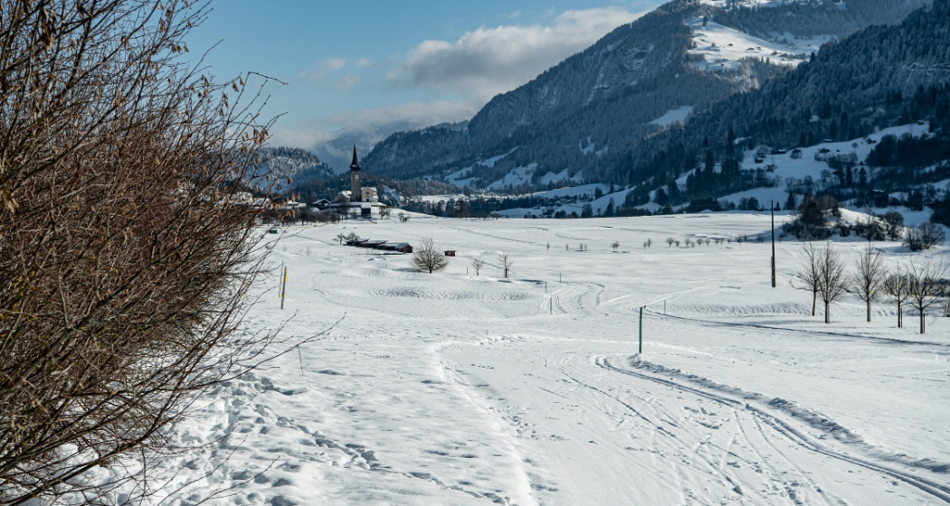Sagogn - Schluein (Rundgang Plaun) (oua_43383333_image) Sagogn - Schluein (Rundgang Plaun) (oua_43383333_image)