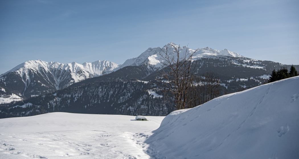 Laax Dorf - Falera (oua_43384037_image) Laax Dorf - Falera (oua_43384037_image)