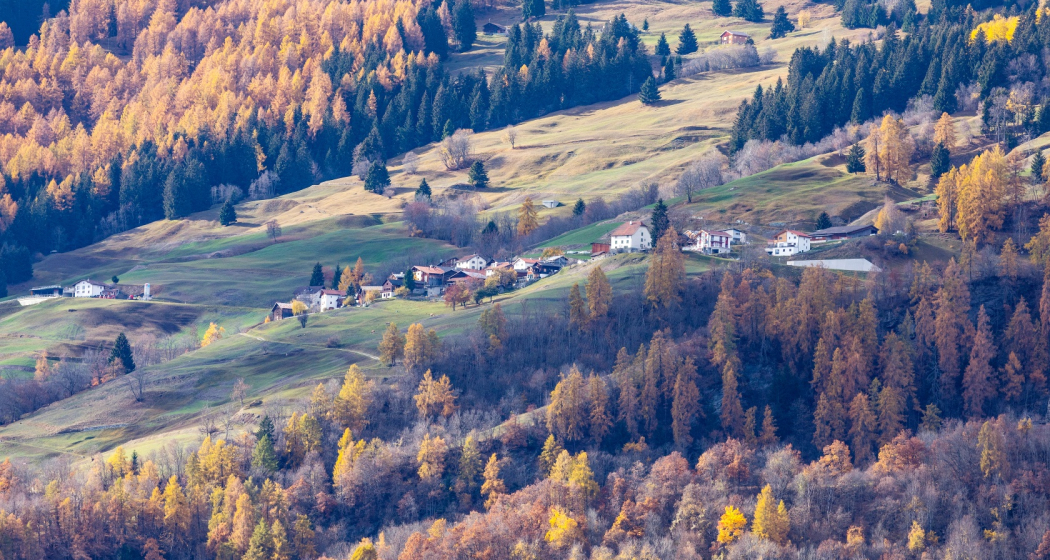 Dalin im Herbst Dalin im Herbst
