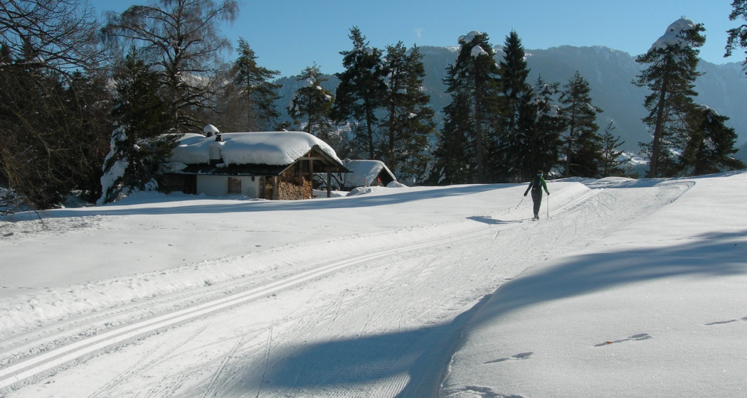 Langlaufloipen Flilms