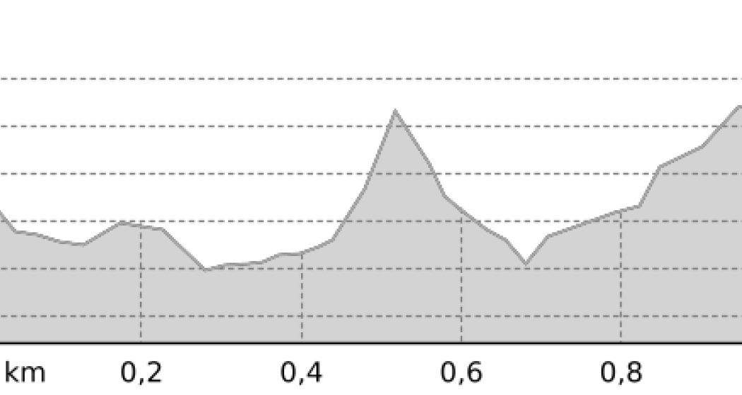 Nachtloipe Pontresina (oua_43632657_17b2a18_profile) Nachtloipe Pontresina (oua_43632657_17b2a18_profile)