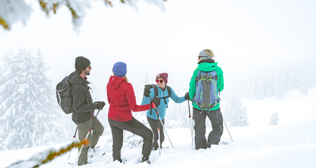 Schneeschuh laufen in der Gruppe Schneeschuh laufen in der Gruppe