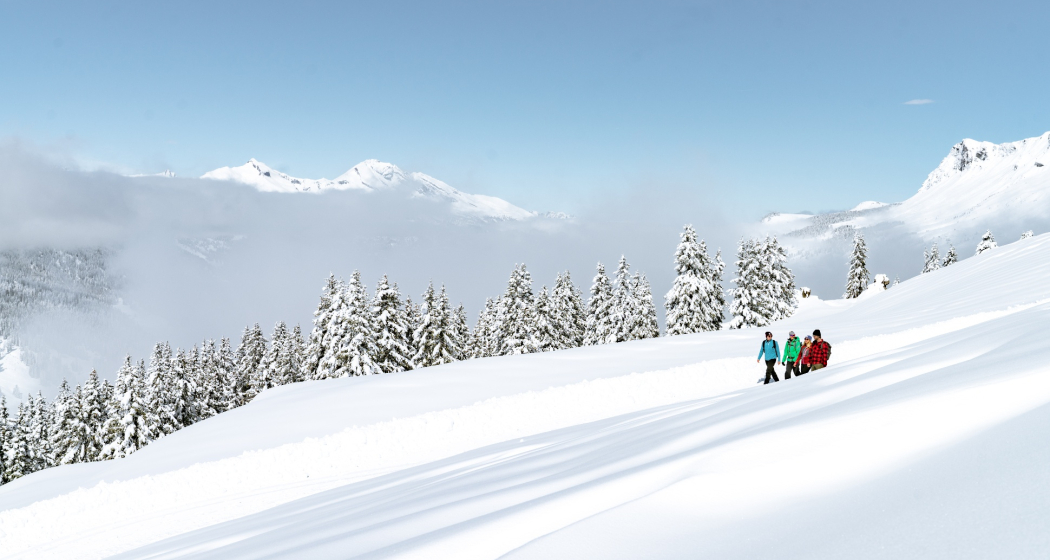 Winterwandern in Lenzerheide Winterwandern in Lenzerheide