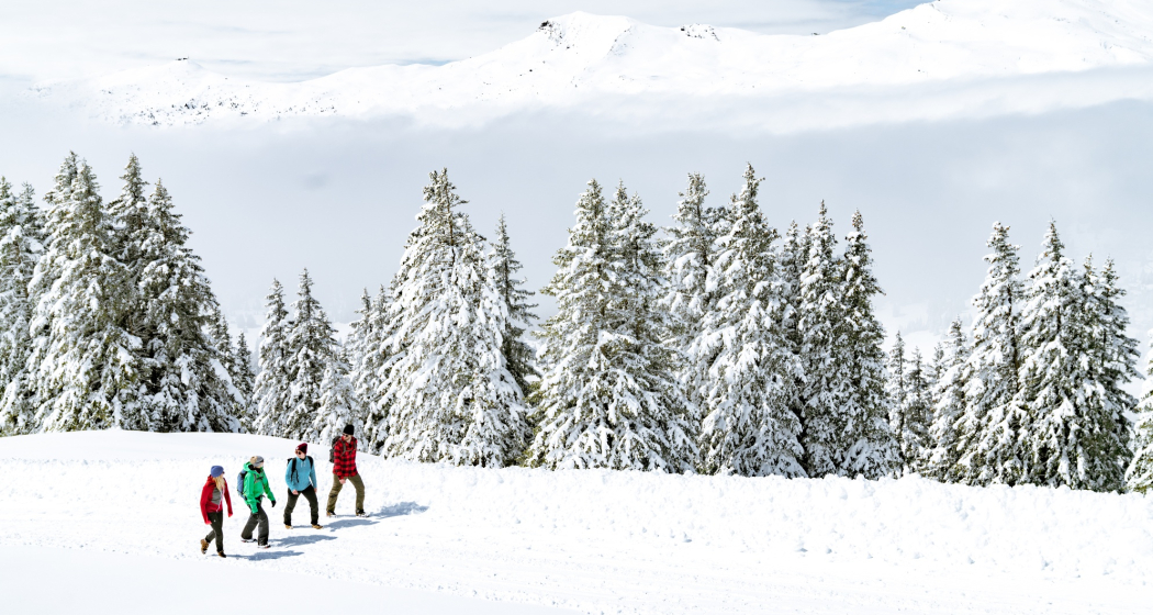 Winterwandern Lenzerheide Winterwandern Lenzerheide