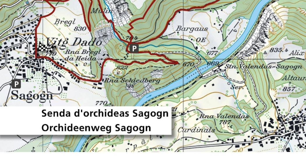 Orchideenweg - Senda d’orchideas (oua_43758130_image) Orchideenweg - Senda d’orchideas (oua_43758130_image)
