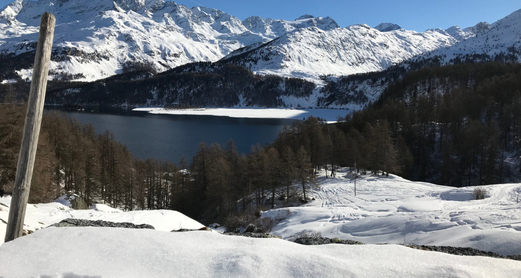 Blick über den Silsersee Blick über den Silsersee