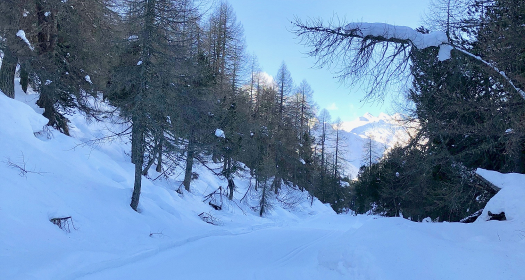 Loipe bei La Palza, am höchsten Punkt der Tour Loipe bei La Palza, am höchsten Punkt der Tour