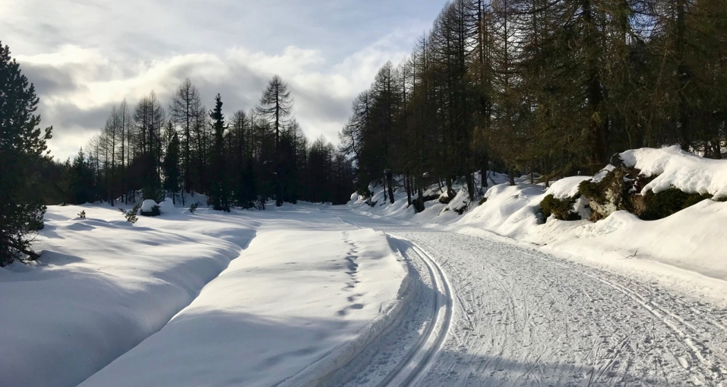 Wanderweg und Loipe bei Plan Curtinacc Wanderweg und Loipe bei Plan Curtinacc