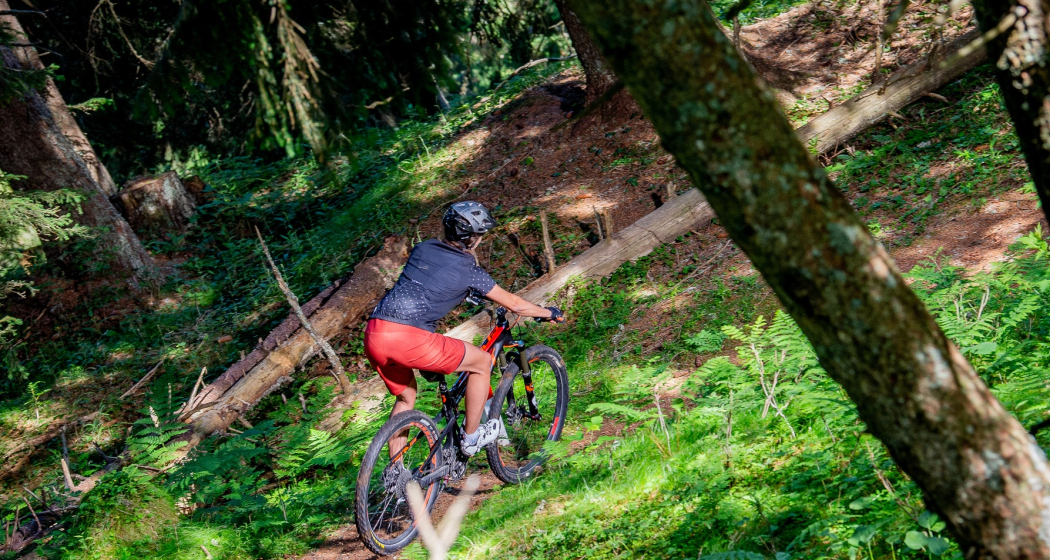 Singletrail Ruschein-Ilanz Singletrail Ruschein-Ilanz