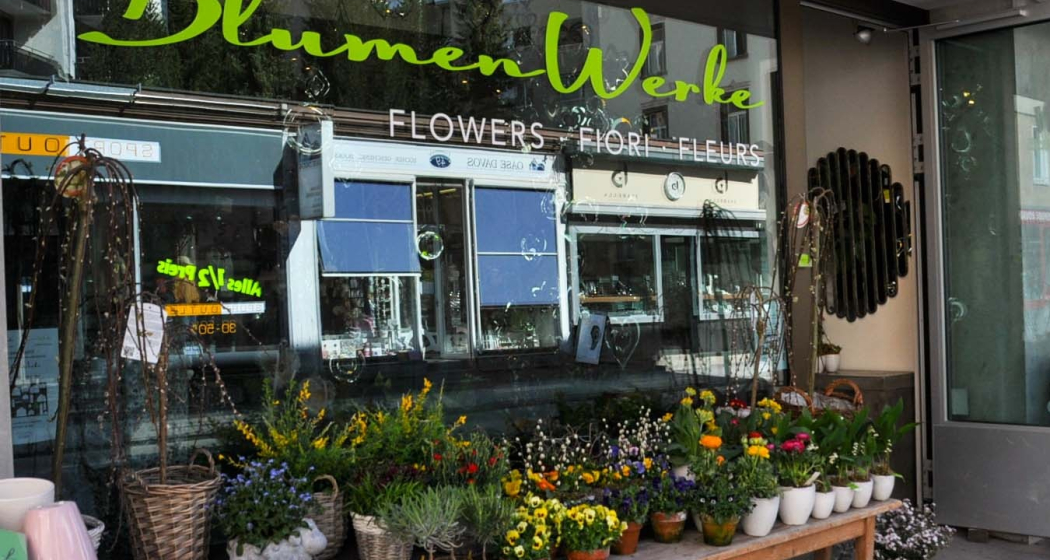 Blumen und Wohnwerke GmbH (oua_45097768_image)