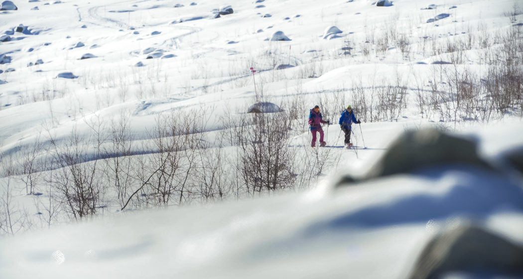 Schneeschuh-Wanderer Morteratsch Schneeschuh-Wanderer Morteratsch